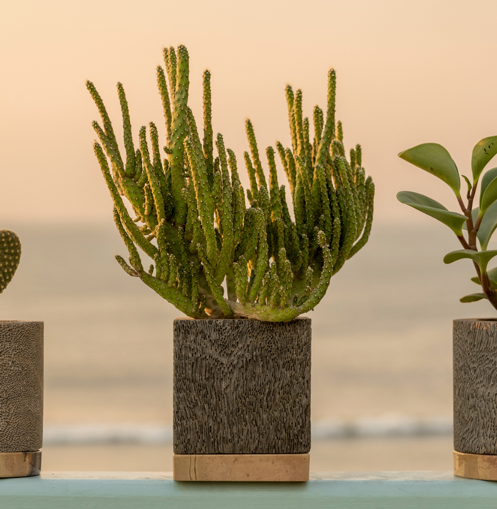 Pottery - Ocean Planter Square w/ Copper Base - D.A.R. PROYECTOS