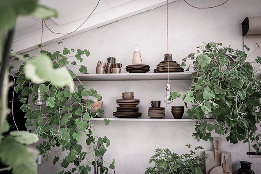 Everyday plates - Tableware - MANSES DESIGN