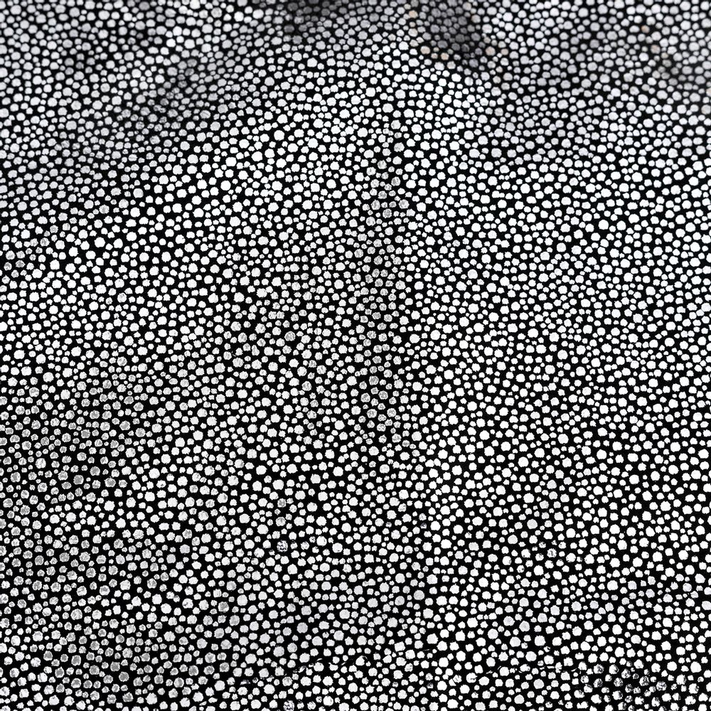 Upholstery fabrics - Crico Black Silver - KOKET