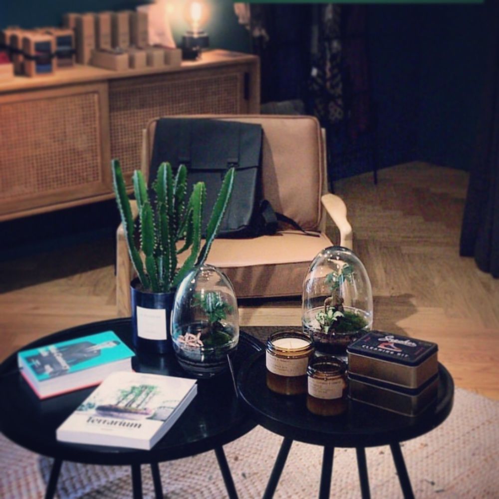 Objets design - KIPLING terrarium  - JUNGLE GLASS