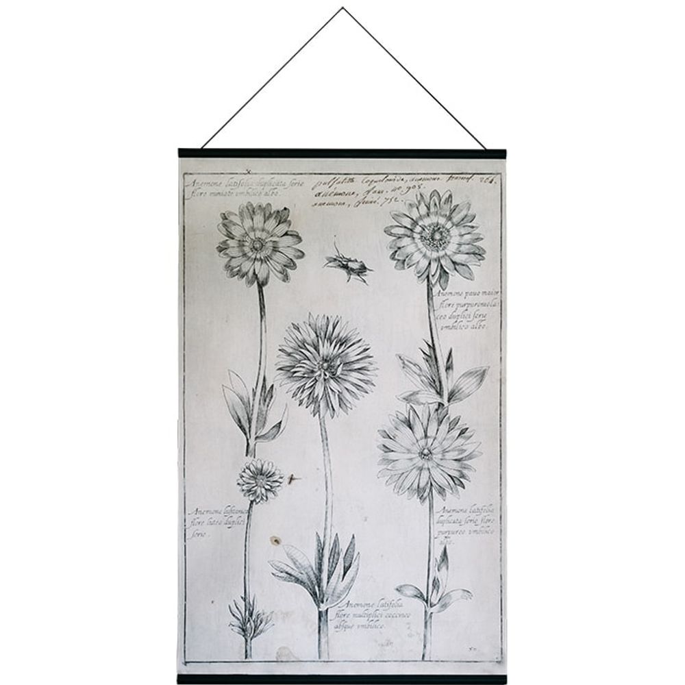Cadres - KAKEMONO PLANCHE DE BOTANIQUE IMPRIMÉE SUR CANVAS - ELUSIO