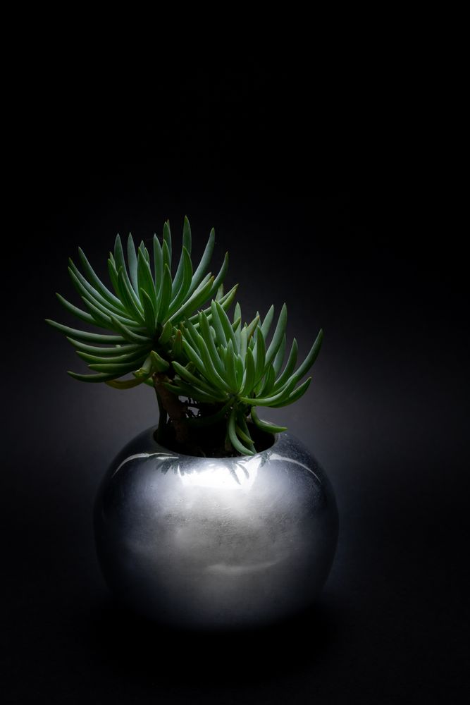 Décorations florales - VASE BOURYBOURY - JARDIN SECRET