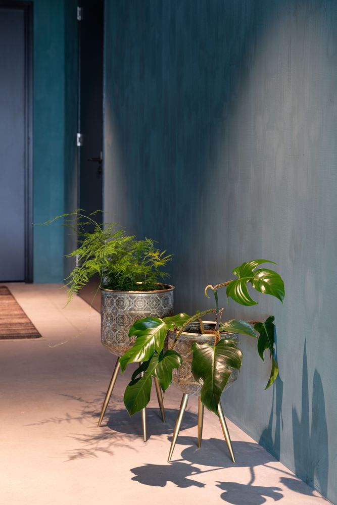Floral decoration - Botanical plant stand - DUTCHBONE