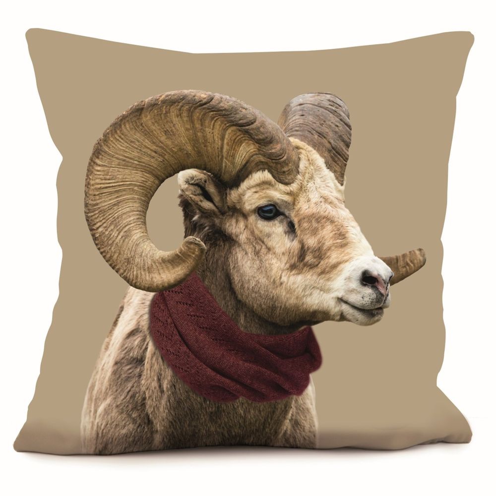 Cushions - Cushions 40*40 et 58*58 - COAST AND VALLEY, UNE MARQUE DE LA SARL MYDITEX COMPANY