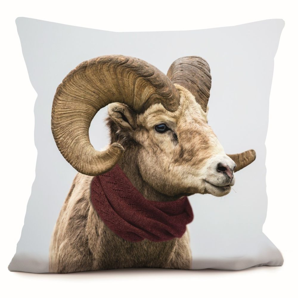 Cushions - Cushions 40*40 et 58*58 - COAST AND VALLEY, UNE MARQUE DE LA SARL MYDITEX COMPANY
