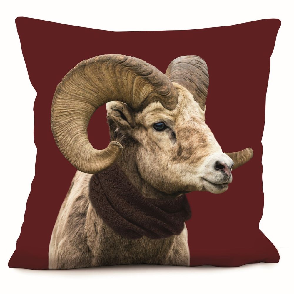 Cushions - Cushions 40*40 et 58*58 - COAST AND VALLEY, UNE MARQUE DE LA SARL MYDITEX COMPANY