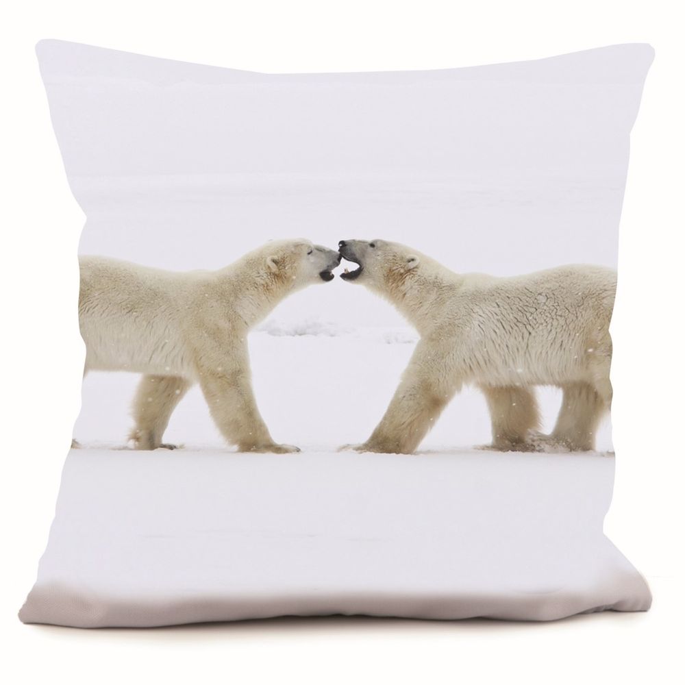Cushions - Cushions 40*40 et 58*58 - COAST AND VALLEY, UNE MARQUE DE LA SARL MYDITEX COMPANY