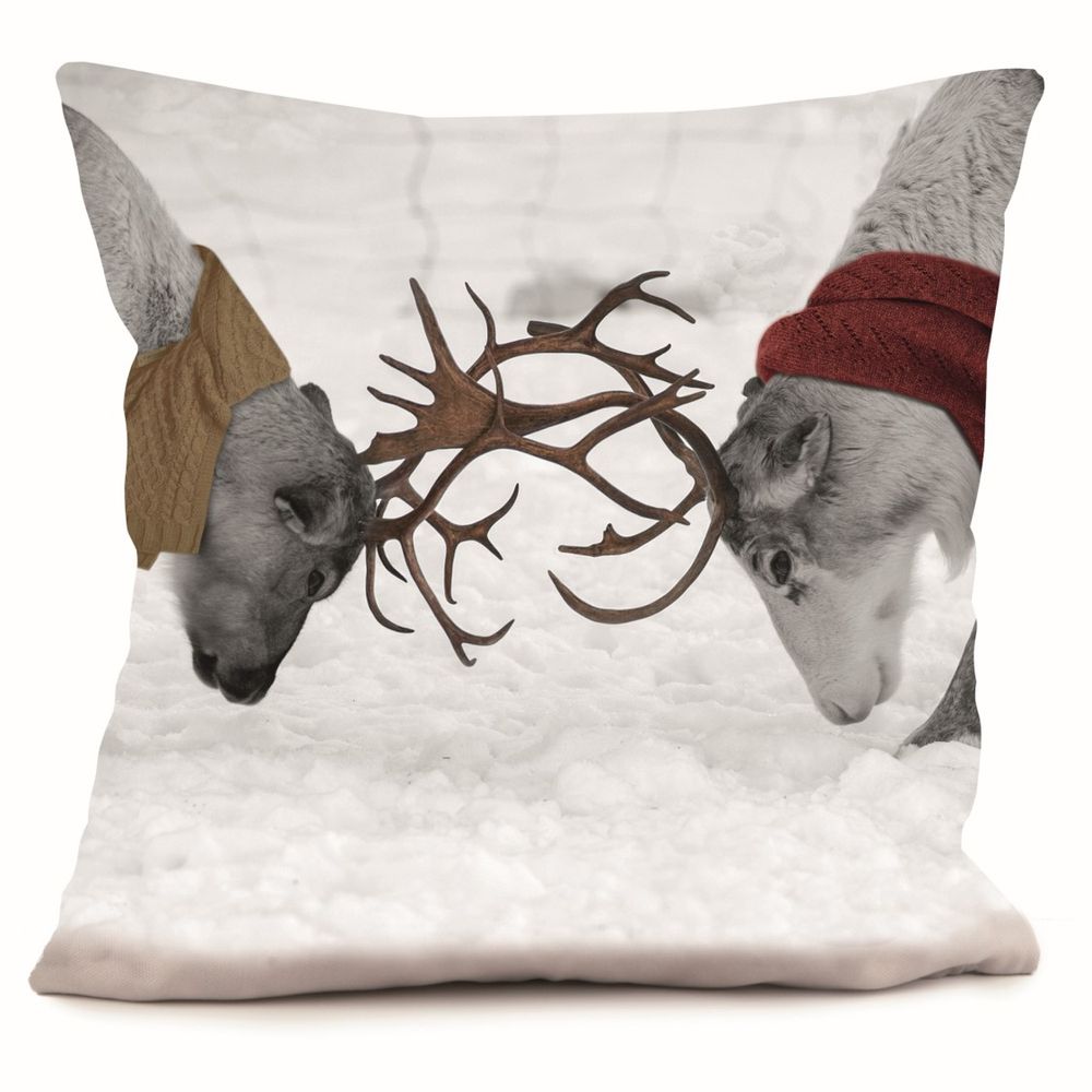 Cushions - Cushions 40*40 et 58*58 - COAST AND VALLEY, UNE MARQUE DE LA SARL MYDITEX COMPANY