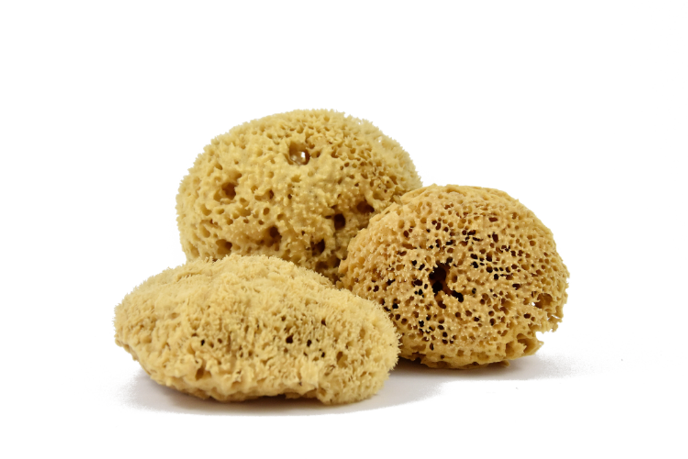 Installation accessories - ECOLOGICAL SEA SPONGE - ANDREE JARDIN
