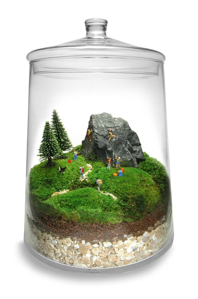 Cadeaux - TerrariumArt glass 3925 - TERRARIUMART
