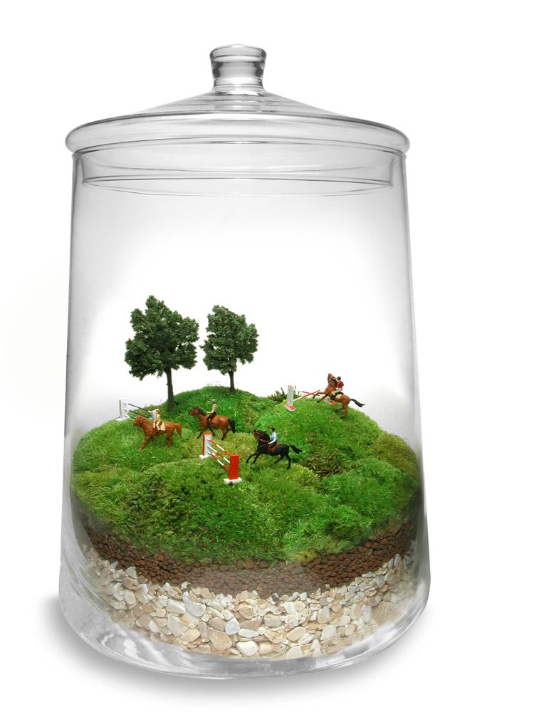 Cadeaux - TerrariumArt glass 3925 - TERRARIUMART