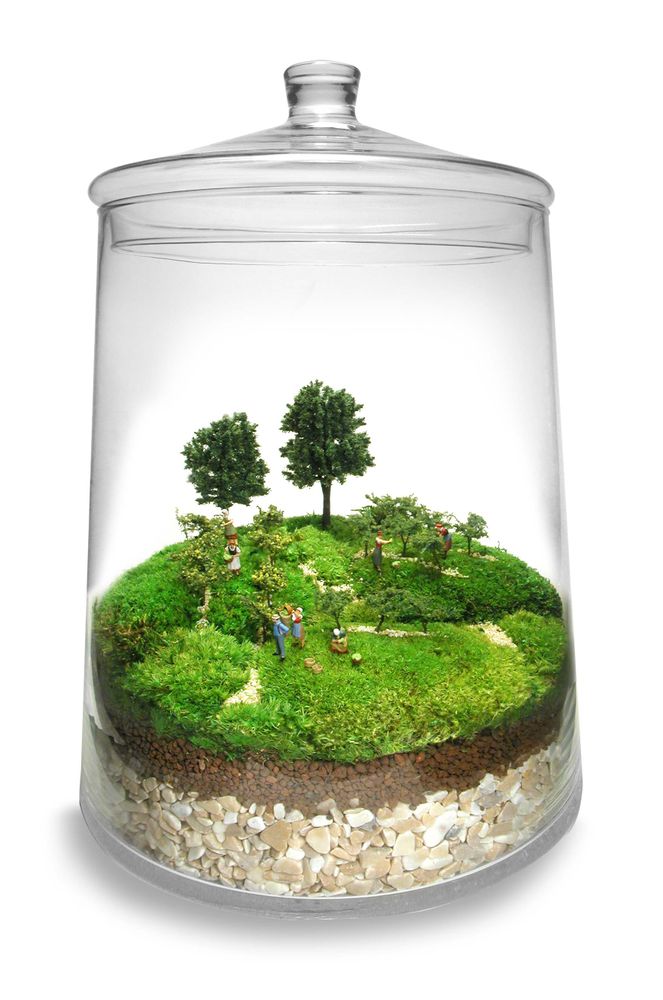 Cadeaux - TerrariumArt glass 3925 - TERRARIUMART