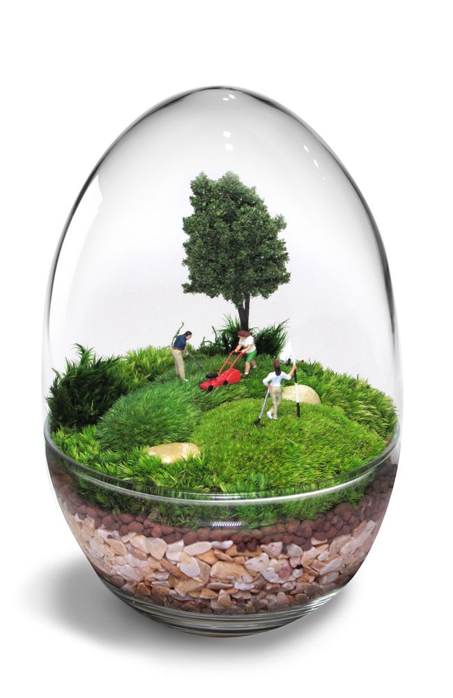 Objets design - TerrariumArt - TERRARIUMART