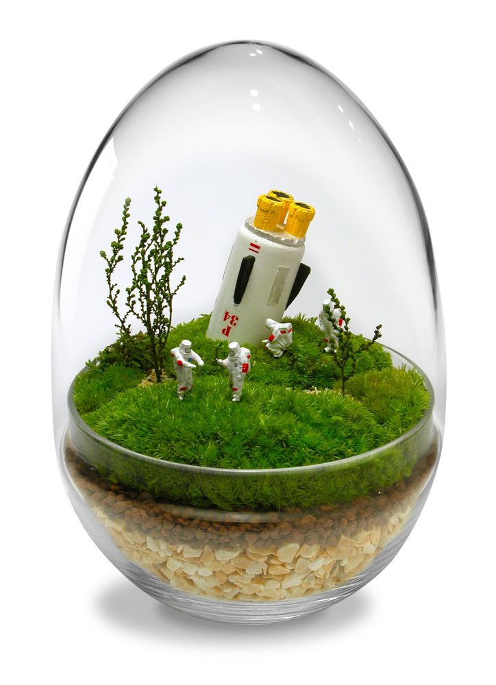 Objets design - TerrariumArt - TERRARIUMART