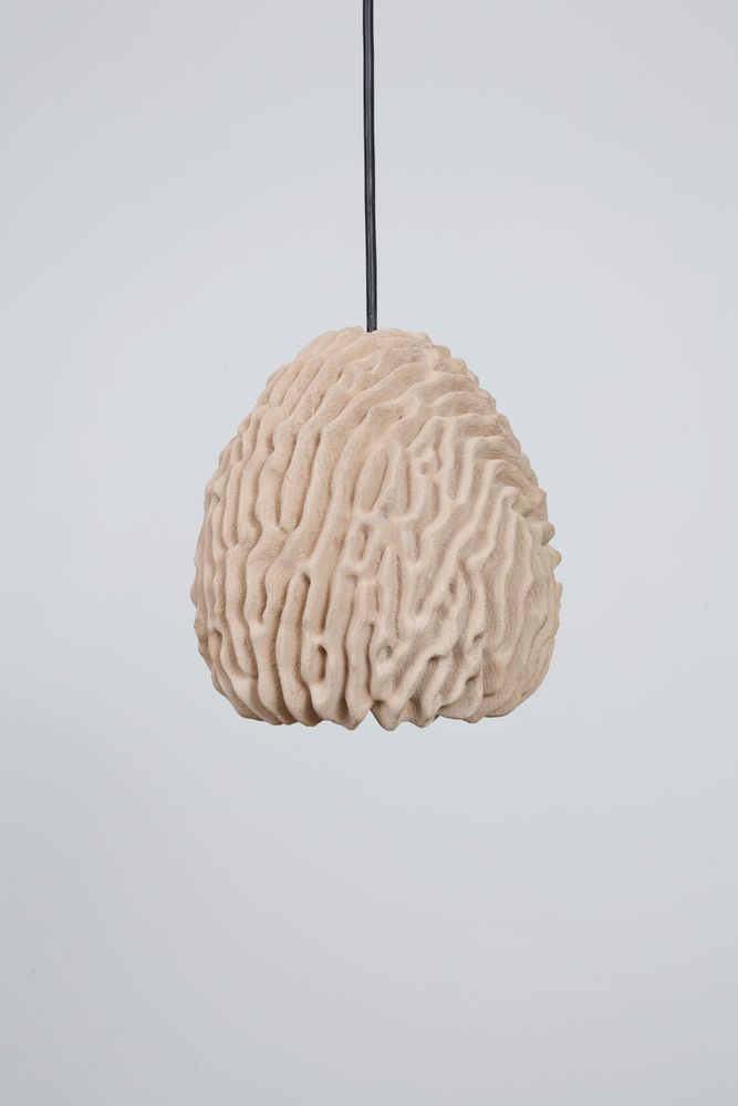 Hanging lights - Coral Light - TRANSNATURAL