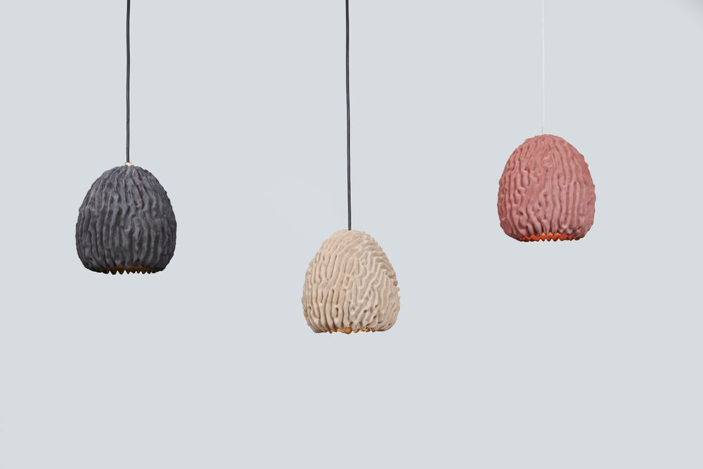 Hanging lights - Coral Light - TRANSNATURAL