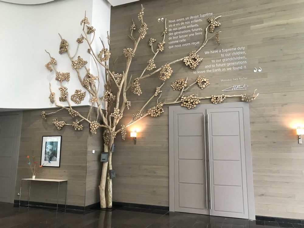 Objets de décoration - arbre en bois flotté - DECO-NATURE