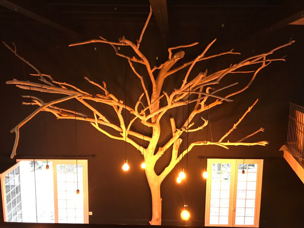 Objets de décoration - arbre en bois flotté - DECO-NATURE