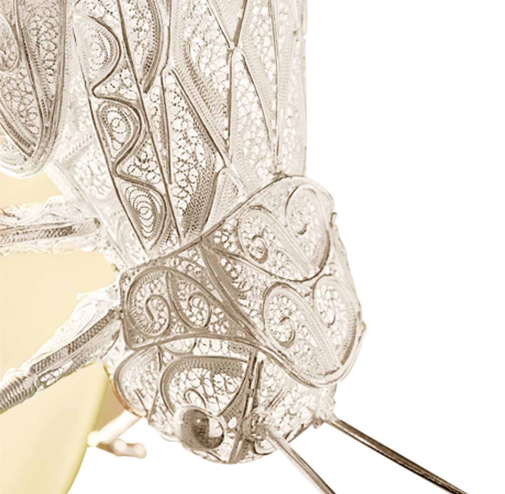 Wall lamps - FILIGREE CRICKET Wall Lamp - BOCA DO LOBO