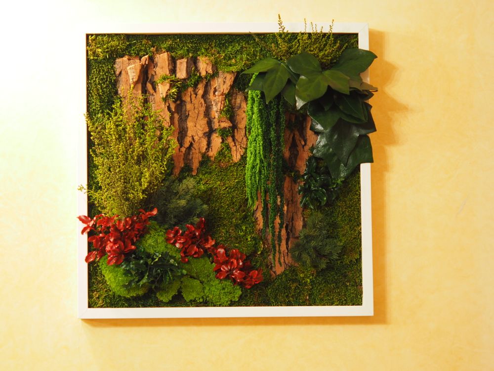 Paintings - VF Jungle Square Moss Art Wall Collection - VIVA FLORA