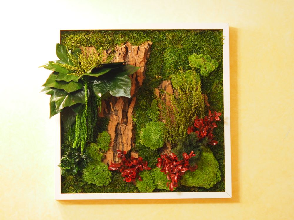Paintings - VF Jungle Square Moss Art Wall Collection - VIVA FLORA