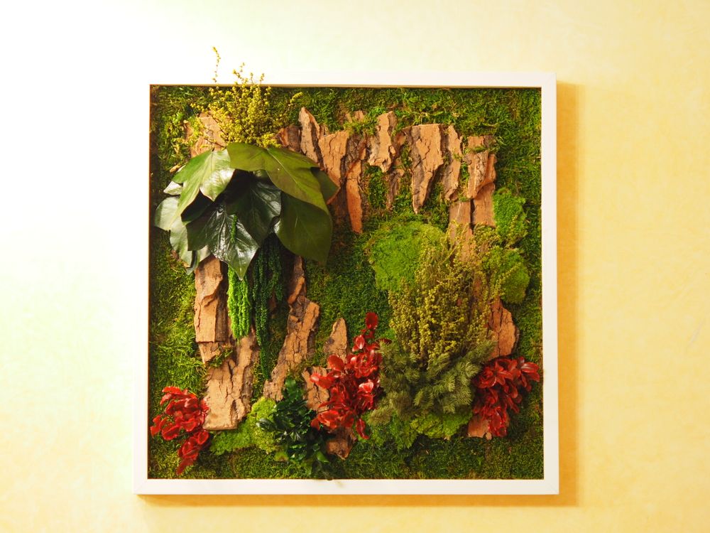 Paintings - VF Jungle Square Moss Art Wall Collection - VIVA FLORA