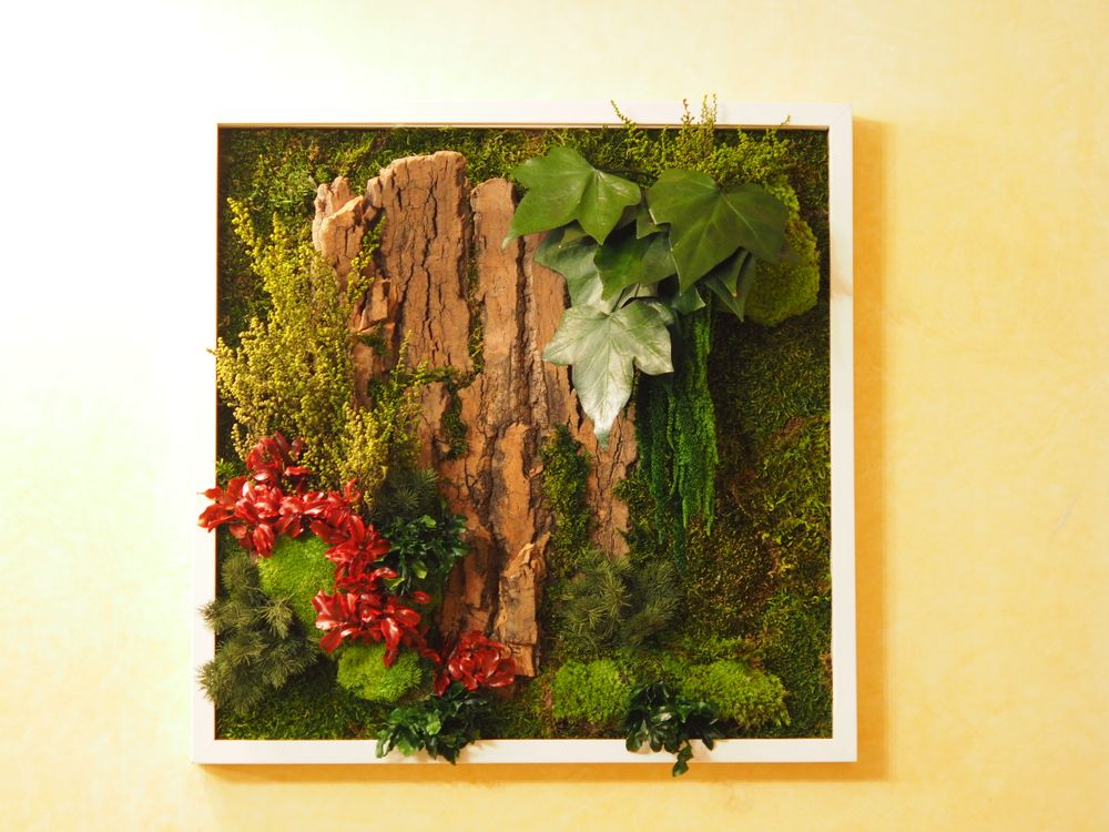 Paintings - VF Jungle Square Moss Art Wall Collection - VIVA FLORA