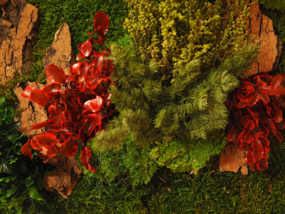 Paintings - VF Jungle Square Moss Art Wall Collection - VIVA FLORA