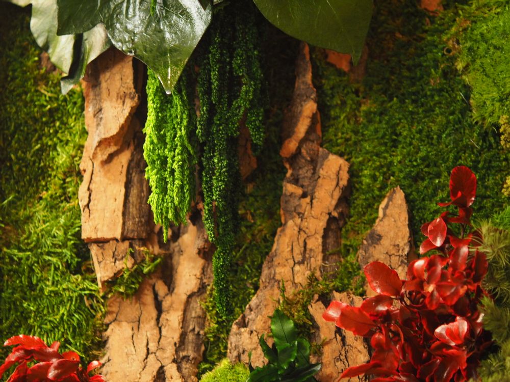 Paintings - VF Jungle Square Moss Art Wall Collection - VIVA FLORA