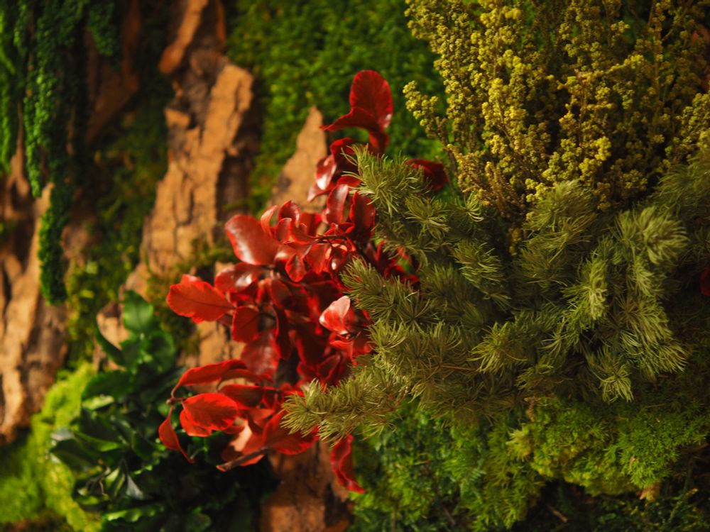 Paintings - VF Jungle Square Moss Art Wall Collection - VIVA FLORA