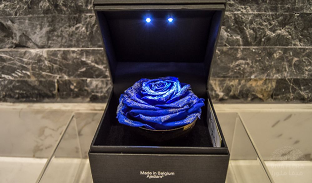 Gifts - Blue Diamond Rose - VIVA FLORA