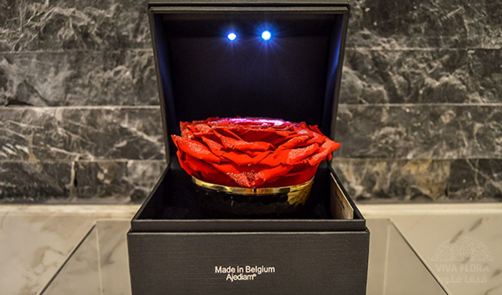 Cadeaux - Rose Diamant Rouge - VIVA FLORA