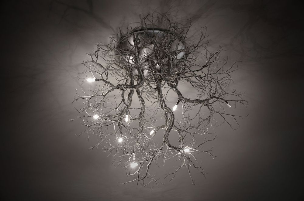 Plafonniers - Roots Medium - F+M FOS