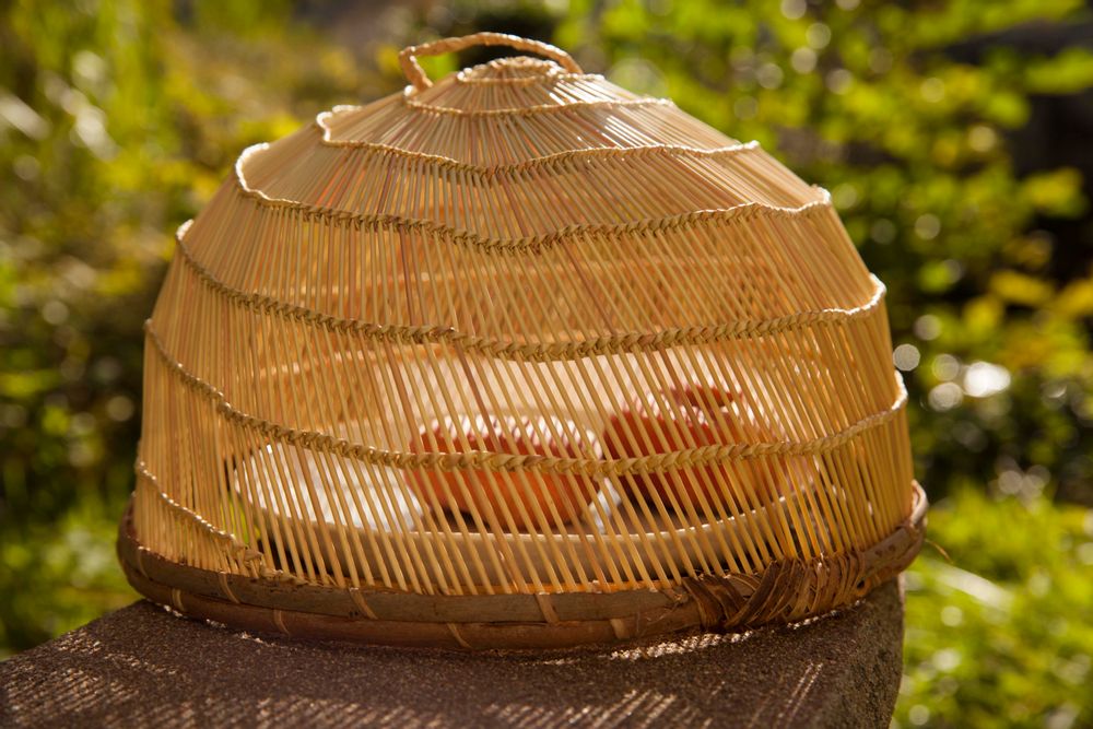 Formal plates - Food Cover, Burkina Faso - AS'ART A SENSE OF CRAFTS