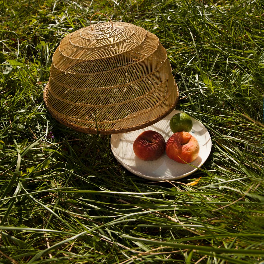 Formal plates - Food Cover, Burkina Faso - AS'ART A SENSE OF CRAFTS