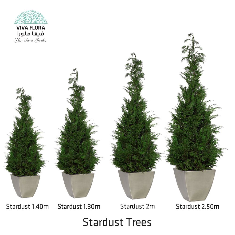 Decorative objects - Stardust Trees - VIVA FLORA
