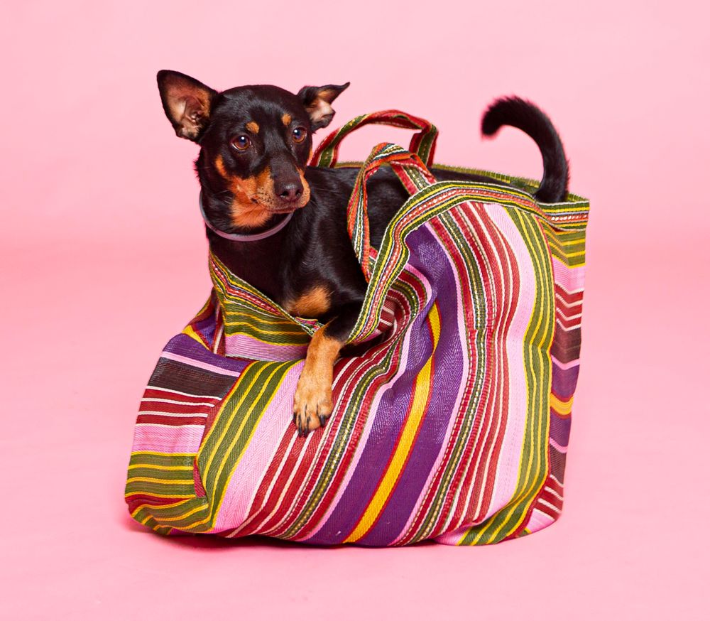 Sacs et cabas - Market bag - MR. CE, MADE IN SPAIN