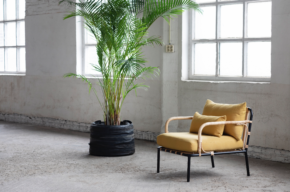 Lounge chairs - Capizzi by René Barba - SERAX OLD