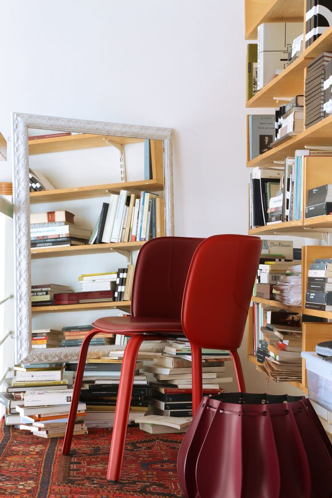 Chaises pour collectivités - Chaise BELT - AIRNOVA