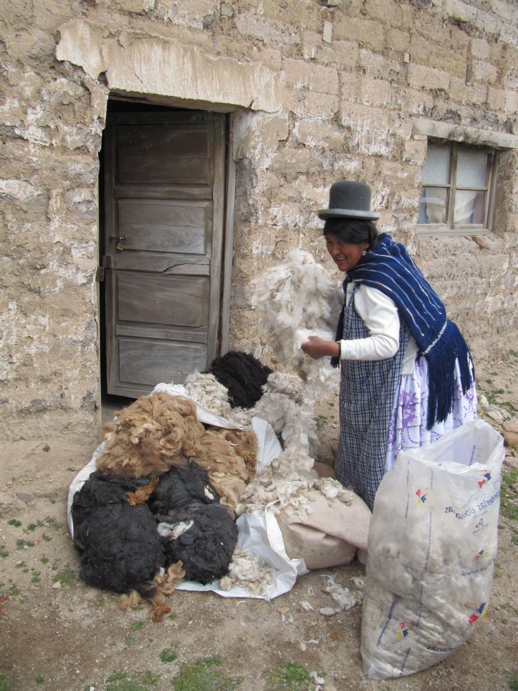 Tapis design - Les Frazadas De Bolivie - VAN VERRE