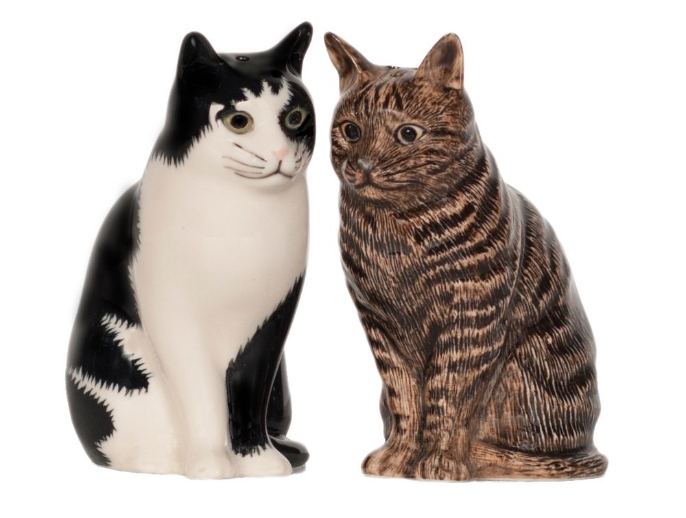 Condiments - Salt and pepper shakers - QUAIL DESIGNS EUROPE BV