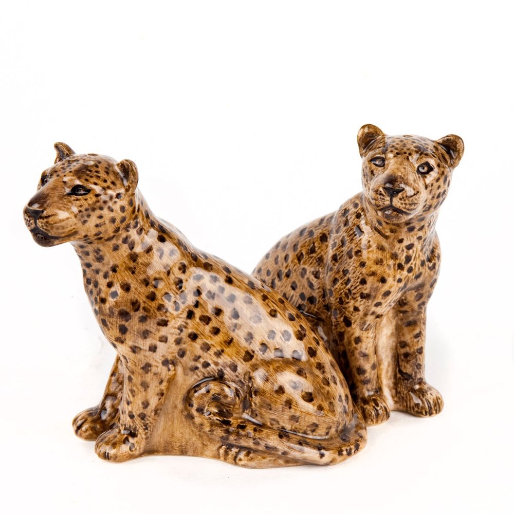 Condiments - Salt and pepper shakers - QUAIL DESIGNS EUROPE BV