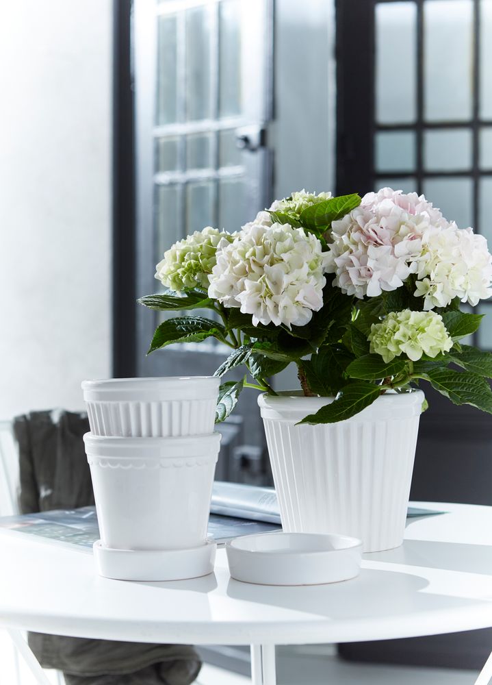 Ceramic - Wikholm Form - WIKHOLM FORM AB