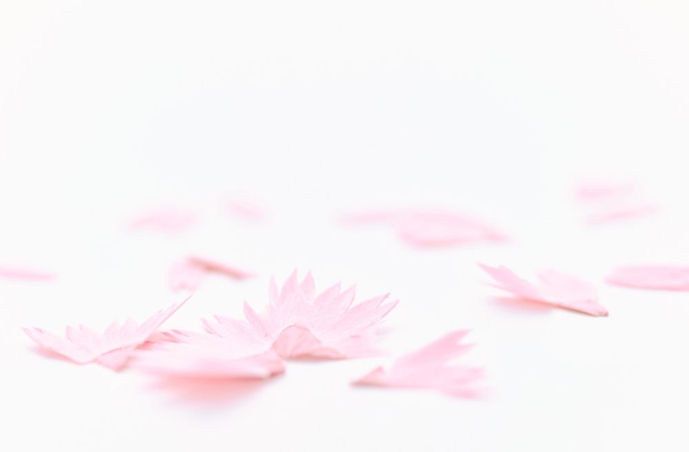 Gifts - Flower Pencils HANA Greeting cards ( set of 5) - TRINUS