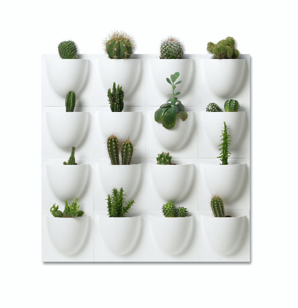 Other wall decoration - VertiPlants Mini - VERTI COPENHAGEN