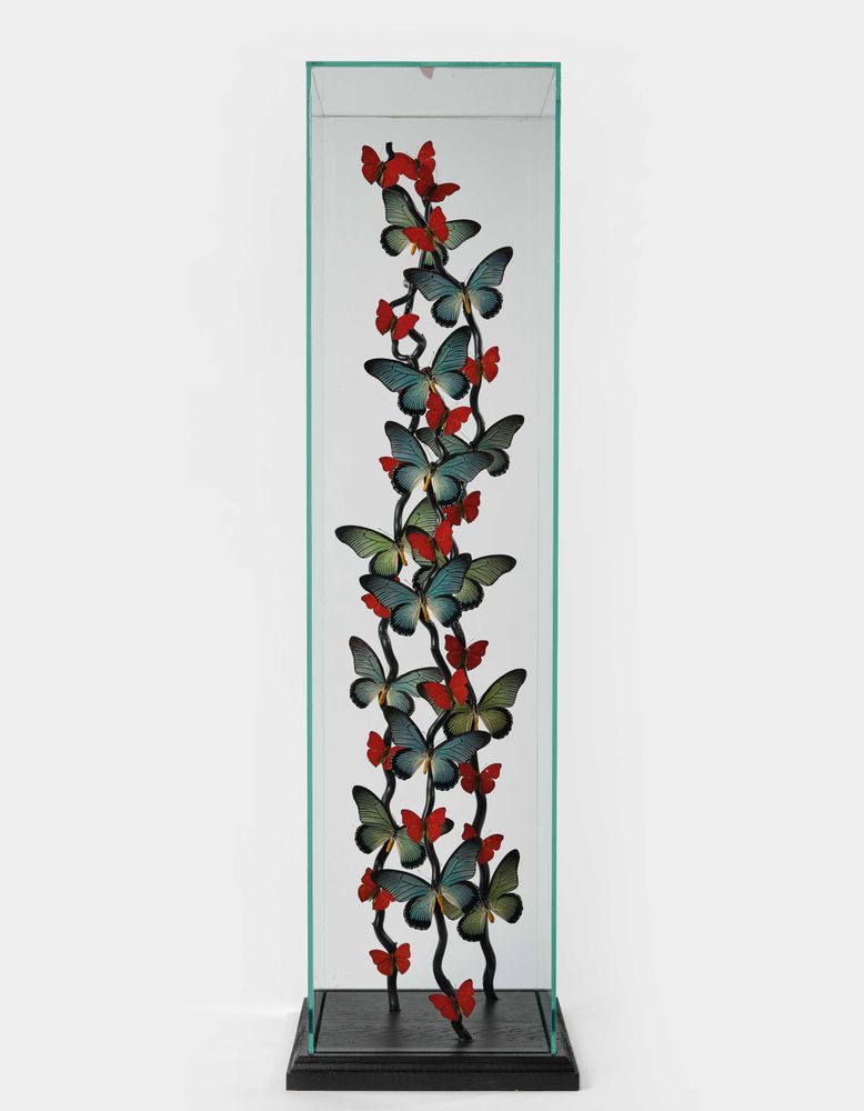 Objets de décoration - ENVOLÉE DE PAPILIO ZALMOXIS ET CYMOTHOE SANGARIS, cabinet de curiosités - METAMORPHOSES