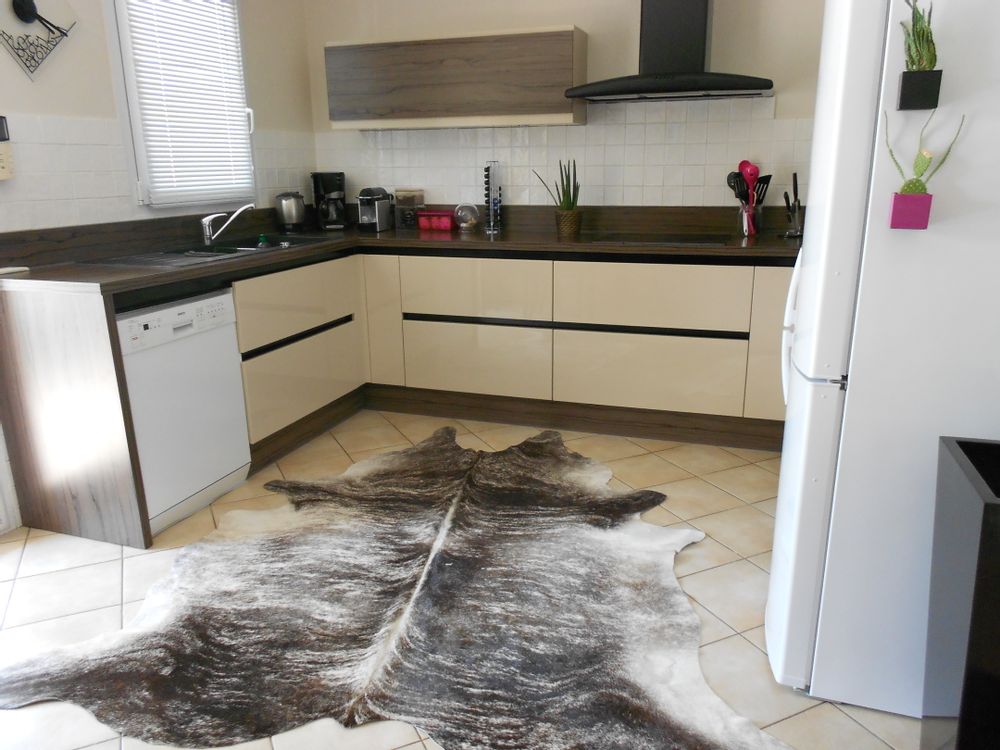 Tapis contemporains - Peau de vache - DUMAS TANNERIE