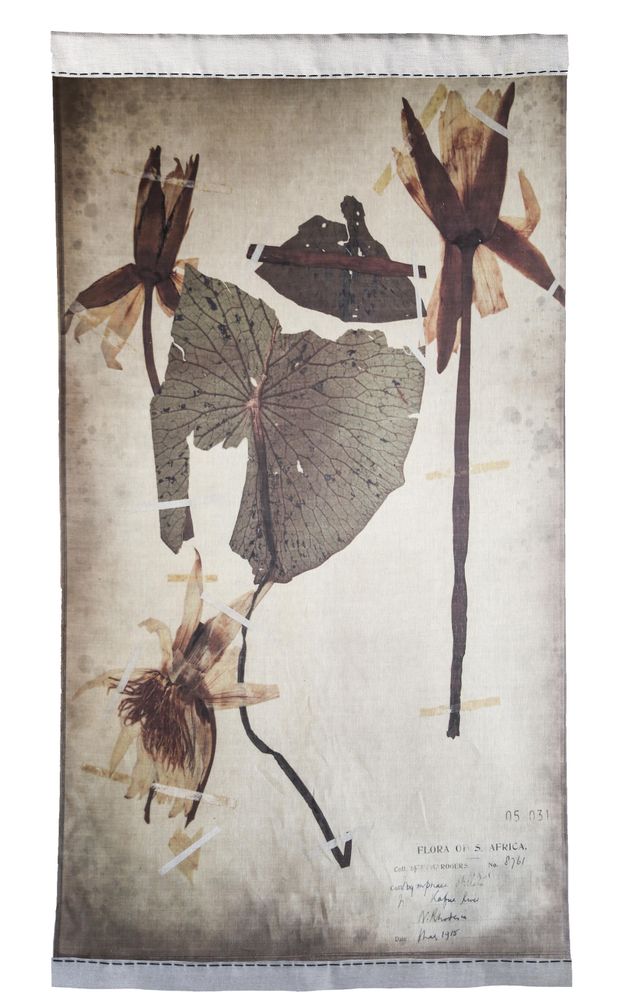 Autres décorations murales - Collection Nymphaea - Panneau Kafue, imprimé - EVOLUTION PRODUCT