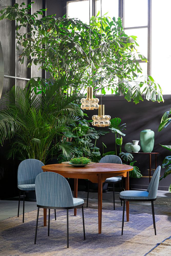 Chaises - Precious - MOROSO