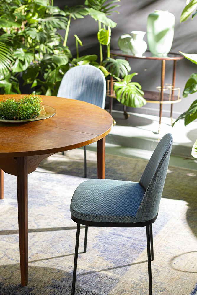Chaises - Precious - MOROSO